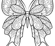 Coloriage Papillon &agrave; motifs adulte en ligne