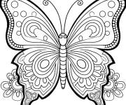 Coloriage et dessins gratuit Papillon &agrave; motifs sur ses ailes pour adulte à imprimer