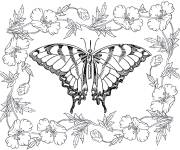 Coloriage et dessins gratuit Papillon adulte au centre des fleurs à imprimer