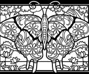 Coloriage Papillon anti-stress