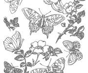 Coloriage et dessins gratuit Papillons et jolis fleurs comme motifs pour adulte à imprimer