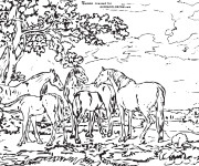 Coloriage et dessins gratuit Adulte Paysage La Nature à imprimer