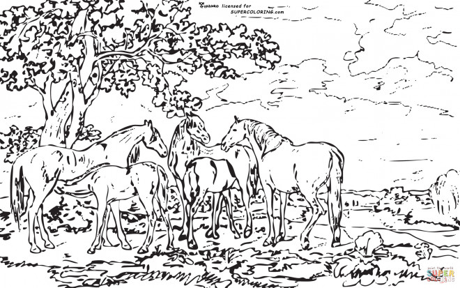 Dessin Disney Coloriage A Imprimer Paysage Nature