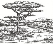 Coloriage et dessins gratuit Adulte Paysage La Savane à imprimer