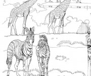 Coloriage Animaux africains dans le Zoo