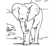 Coloriage Éléphant en Afrique