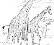 Coloriage et dessins gratuit La Savane Africaine réaliste à imprimer