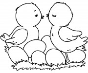 Coloriage Poussins en couleur