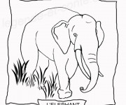 Coloriage Un Éléphant à découper