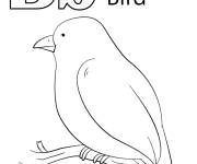 Coloriage Lettre B comme dans Bird