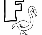 Coloriage Lettre F comme dans flamant rose
