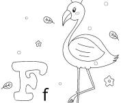 Coloriage et dessins gratuit Lettre F pour Flamingo à imprimer