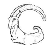 Coloriage Lettre G en anglais pour Goat