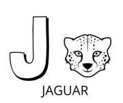 Coloriage Lettre J comme dans jaguar