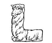 Coloriage Lettre L pour Lama