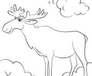 Coloriage Lettre M pour Moose en anglais