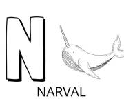 Coloriage Lettre N comme narval