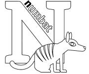 Coloriage et dessins gratuit Lettre N pour Numbat à imprimer