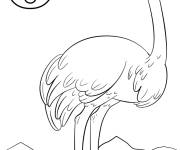 Coloriage Lettre O comme dans le mot anglais Ostrich