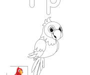 Coloriage Lettre P est pour perroquet