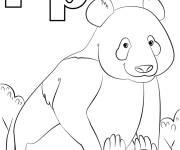 Coloriage Lettre P pour Panda