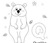 Coloriage et dessins gratuit Lettre Q pour Quakka à imprimer
