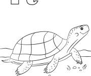 Coloriage Lettre T comme dans tortue
