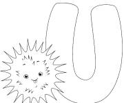 Coloriage et dessins gratuit Lettre U comme Oursin à imprimer