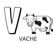 Coloriage Lettre V comme vache