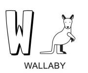 Coloriage Lettre W comme Wallaby