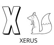 Coloriage Lettre W comme Xerus