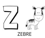 Coloriage Lettre Z comme dans z&egrave;bre