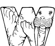 Coloriage W pour Walrus