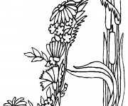 Coloriage Fleurs et Lettre N