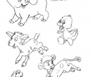 Coloriage et dessins gratuit Animaux de Ferme au crayon à imprimer