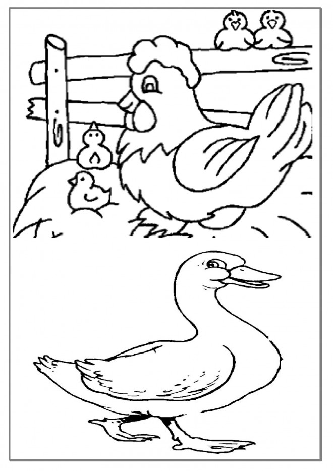 Coloriage Animaux De Ferme Facile Dessin Gratuit à Imprimer