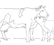 Coloriage Boeuf et son Petit