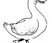 Coloriage et dessins gratuit Canard de Ferme à imprimer