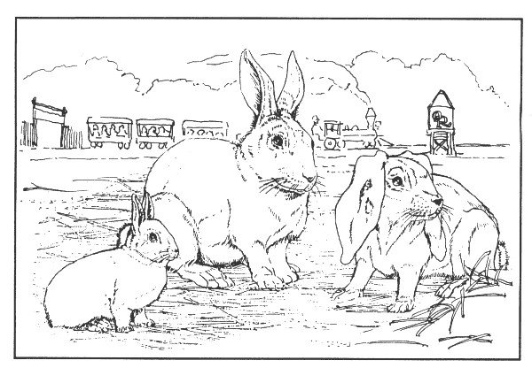 Coloriages la famille lapin 