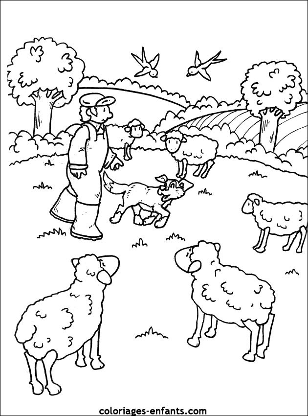 Coloriage Les moutons de ferme dessin gratuit à imprimer les moutons de ferme