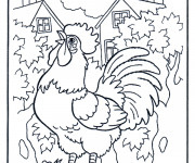 Coloriage et dessins gratuit Un Coq dans La Ferme à imprimer