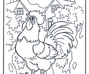 Coloriage Un Coq dans La Ferme