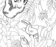 Coloriage et dessins gratuit Animaux de la jungle en ligne à imprimer