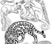 Coloriage et dessins gratuit Animaux de la jungle rares à imprimer