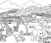 Coloriage et dessins gratuit Animaux de la savane maternelle à imprimer