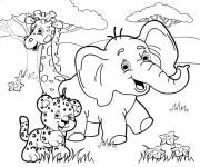Coloriage B&eacute;b&eacute; &eacute;l&eacute;phant, tigre et girafe