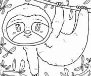 Coloriage B&eacute;b&eacute; paresseux sur l'arbre