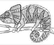 Coloriage Cam&eacute;l&eacute;on sur une branche jungle