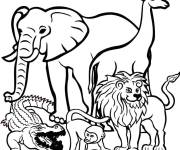 Coloriage Coloriez les animaux de la jungle