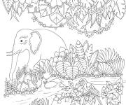 Coloriage &Eacute;l&eacute;phant er perroquet de la jungle